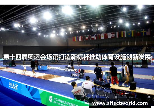 第十四届奥运会场馆打造新标杆推动体育设施创新发展